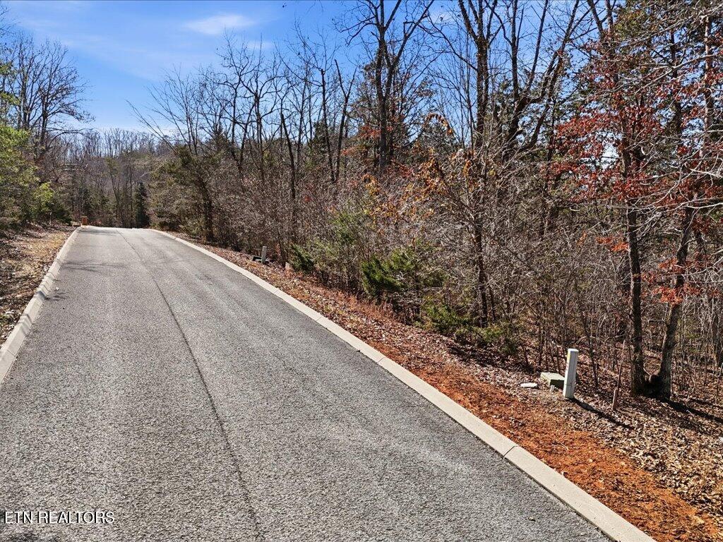 Lot 101 Eagles Ridge Tazewell TN 37879