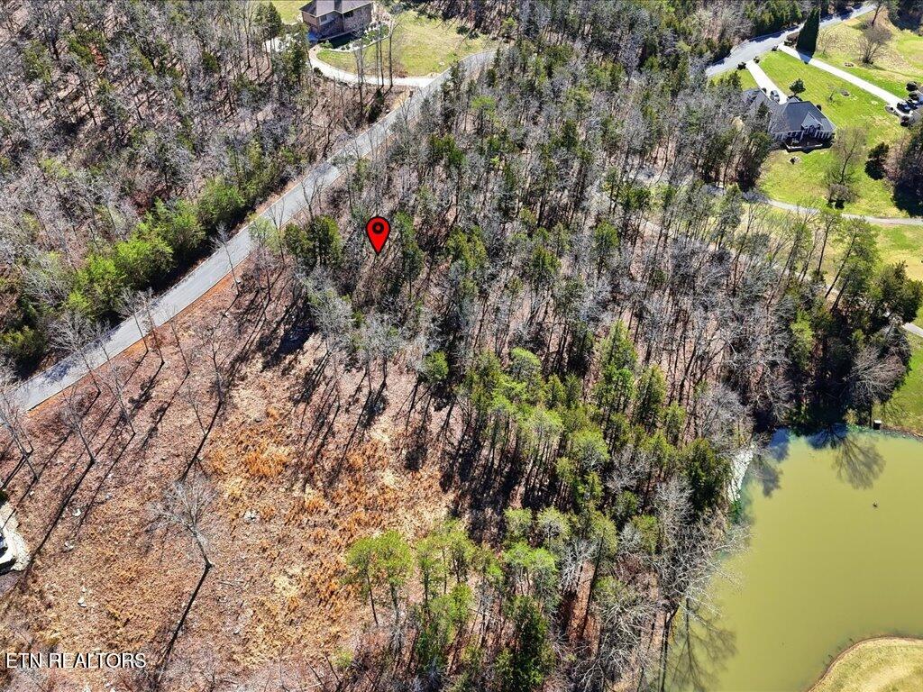 Lot 101 Eagles Ridge Tazewell TN 37879