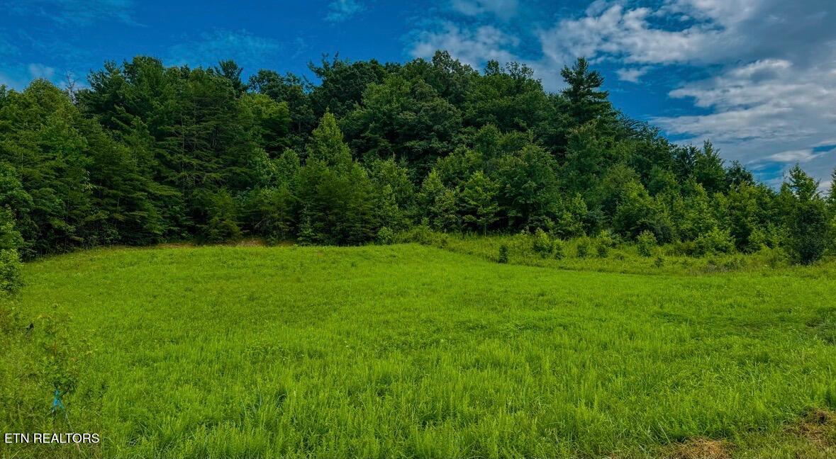 Clay Boyatt Road Oneida TN 37841