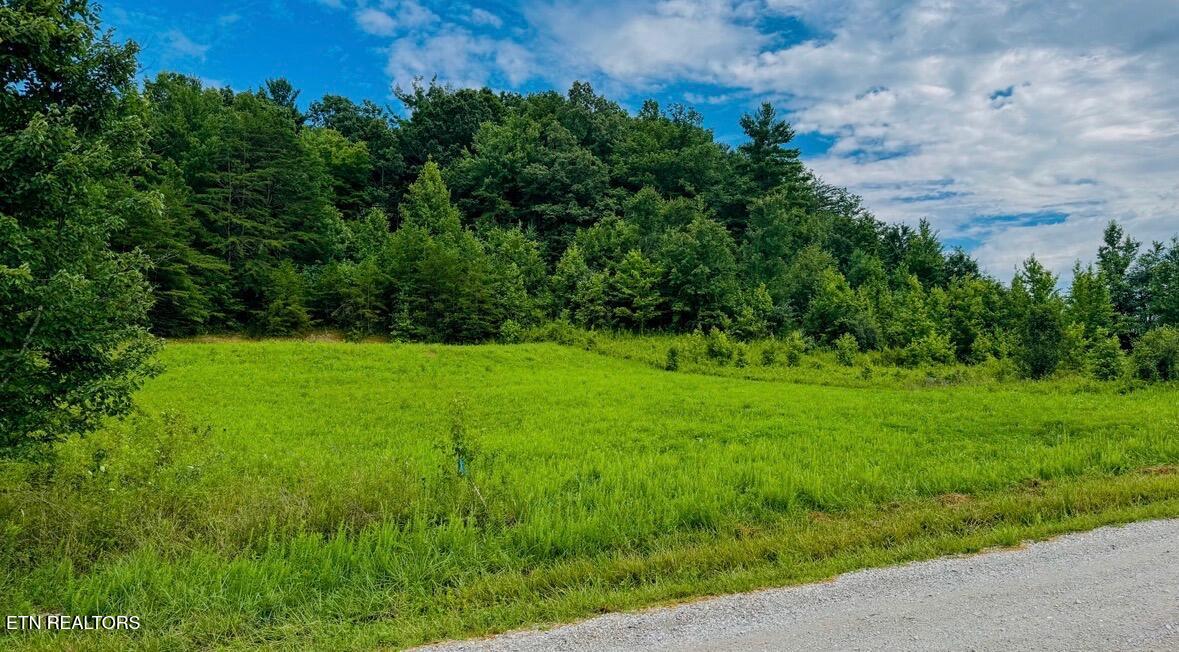 Clay Boyatt Road Oneida TN 37841