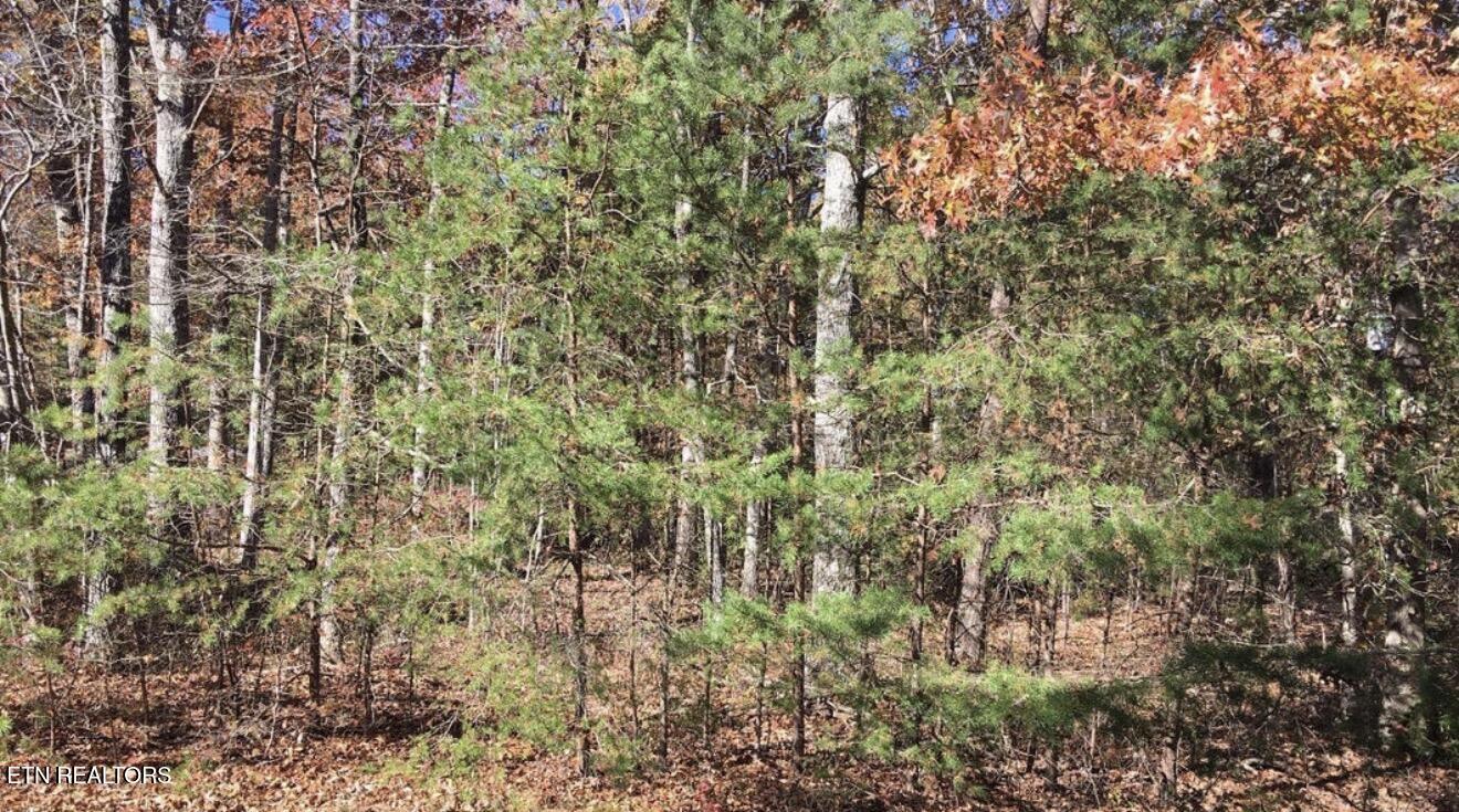 129 Monticello Lane Crossville TN 38558