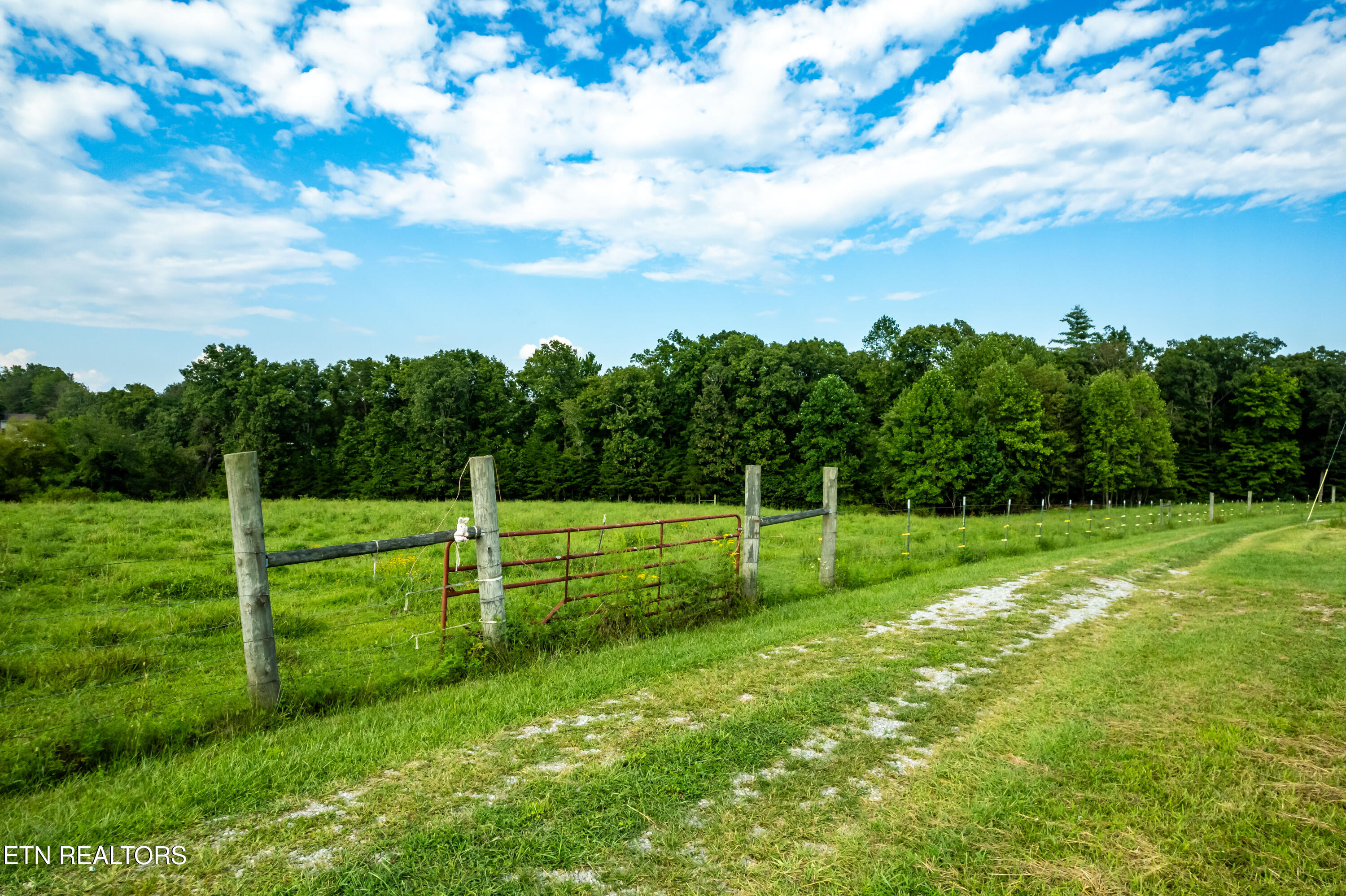 346 Christenson Road Deer Lodge TN 37726