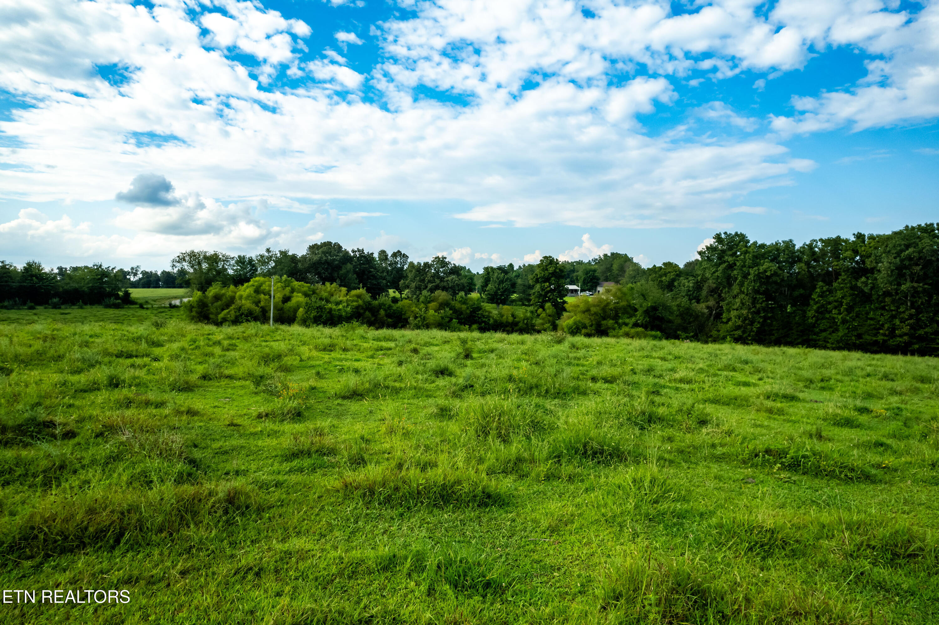 346 Christenson Road Deer Lodge TN 37726