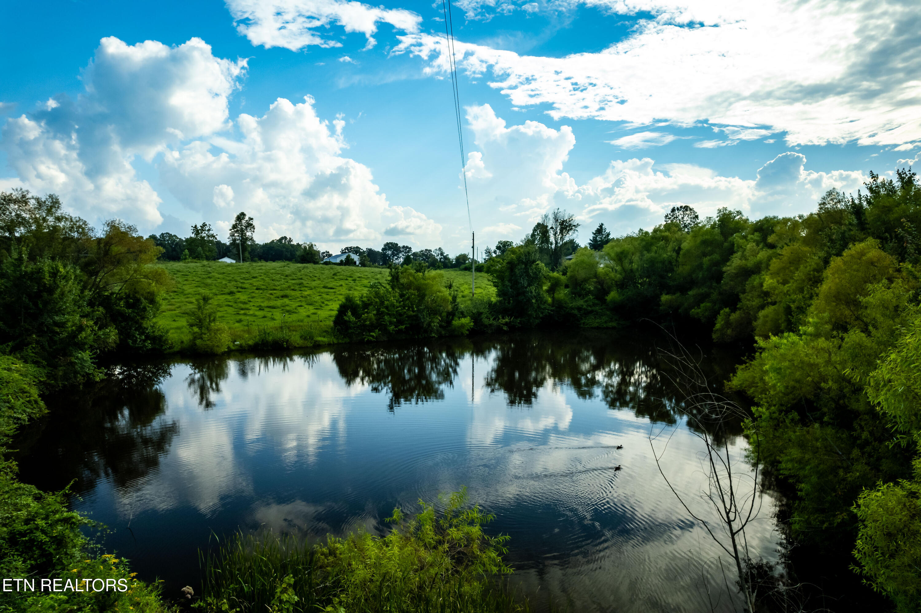 346 Christenson Road Deer Lodge TN 37726