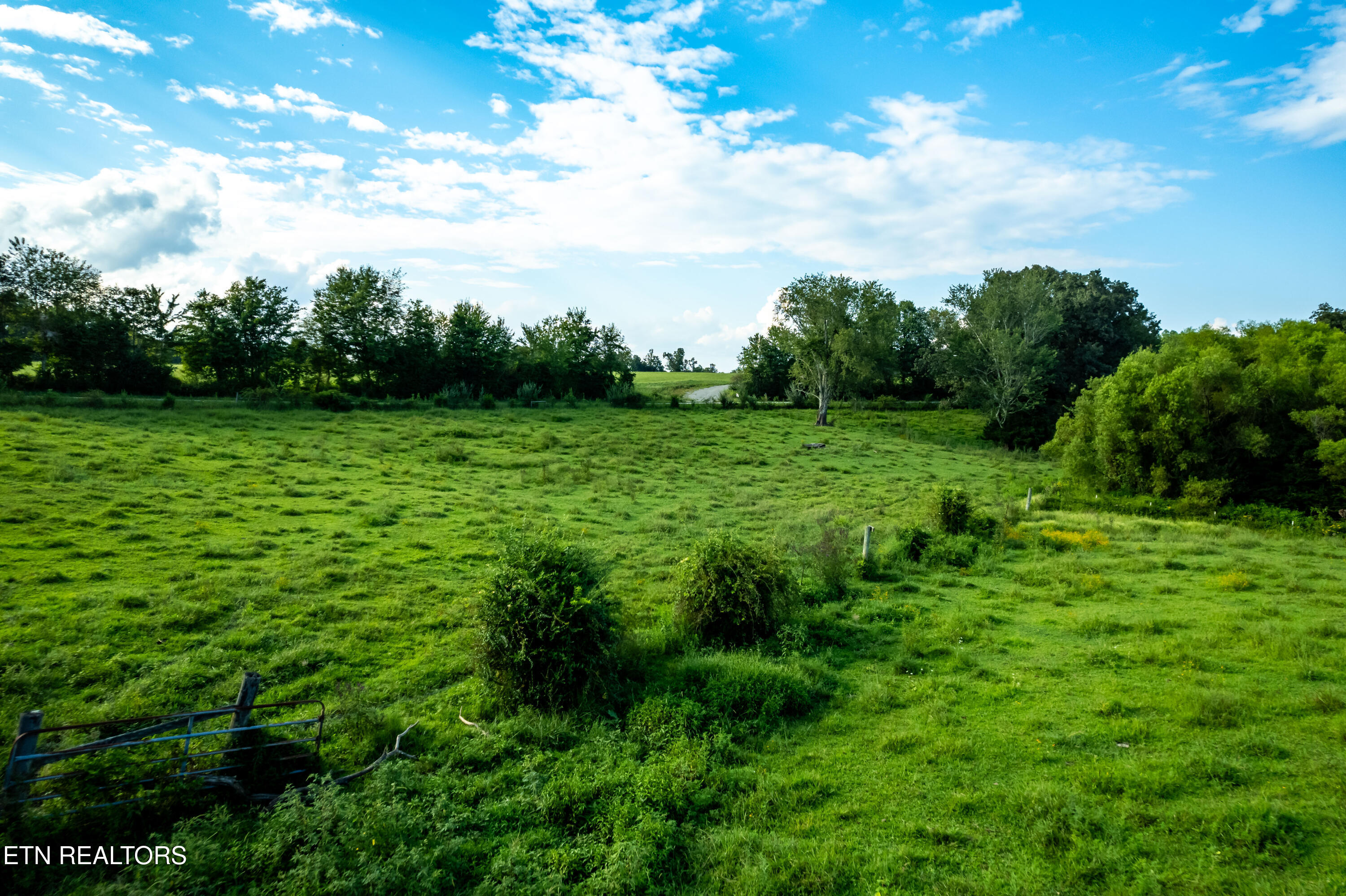 346 Christenson Road Deer Lodge TN 37726