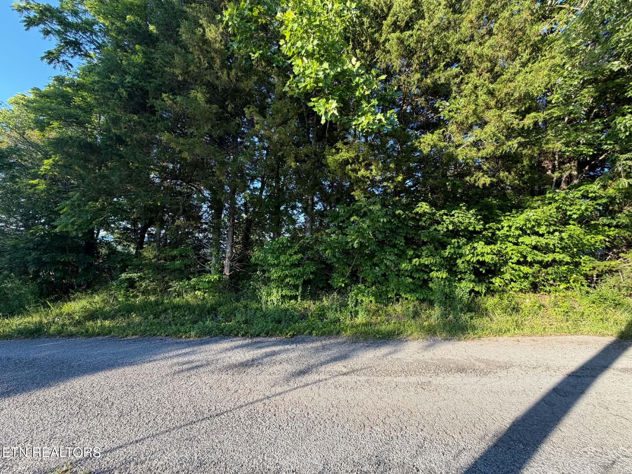 Hill Crest Drive Tazewell TN 37879