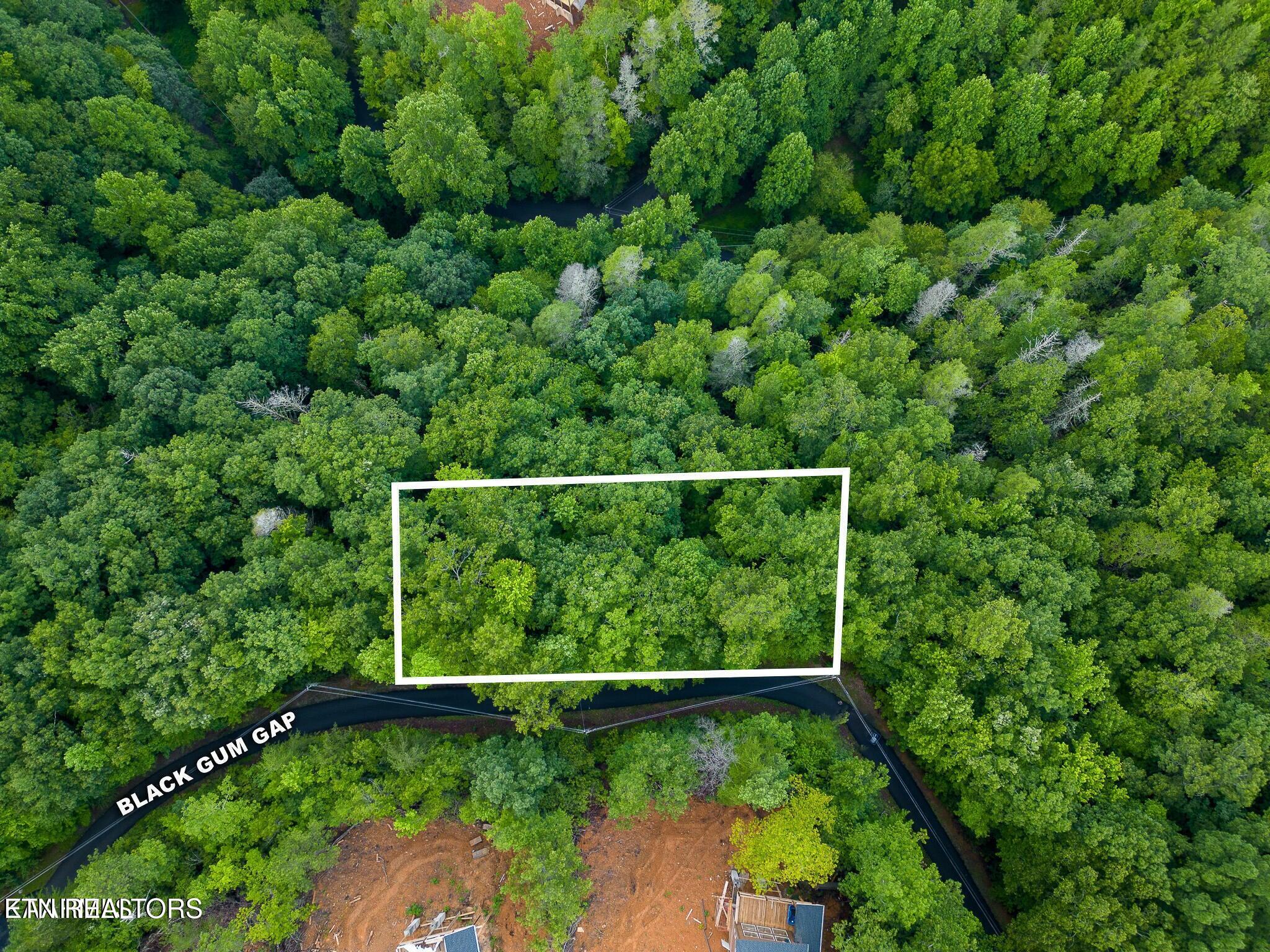 Black Gum Gap Road Gatlinburg TN 37738