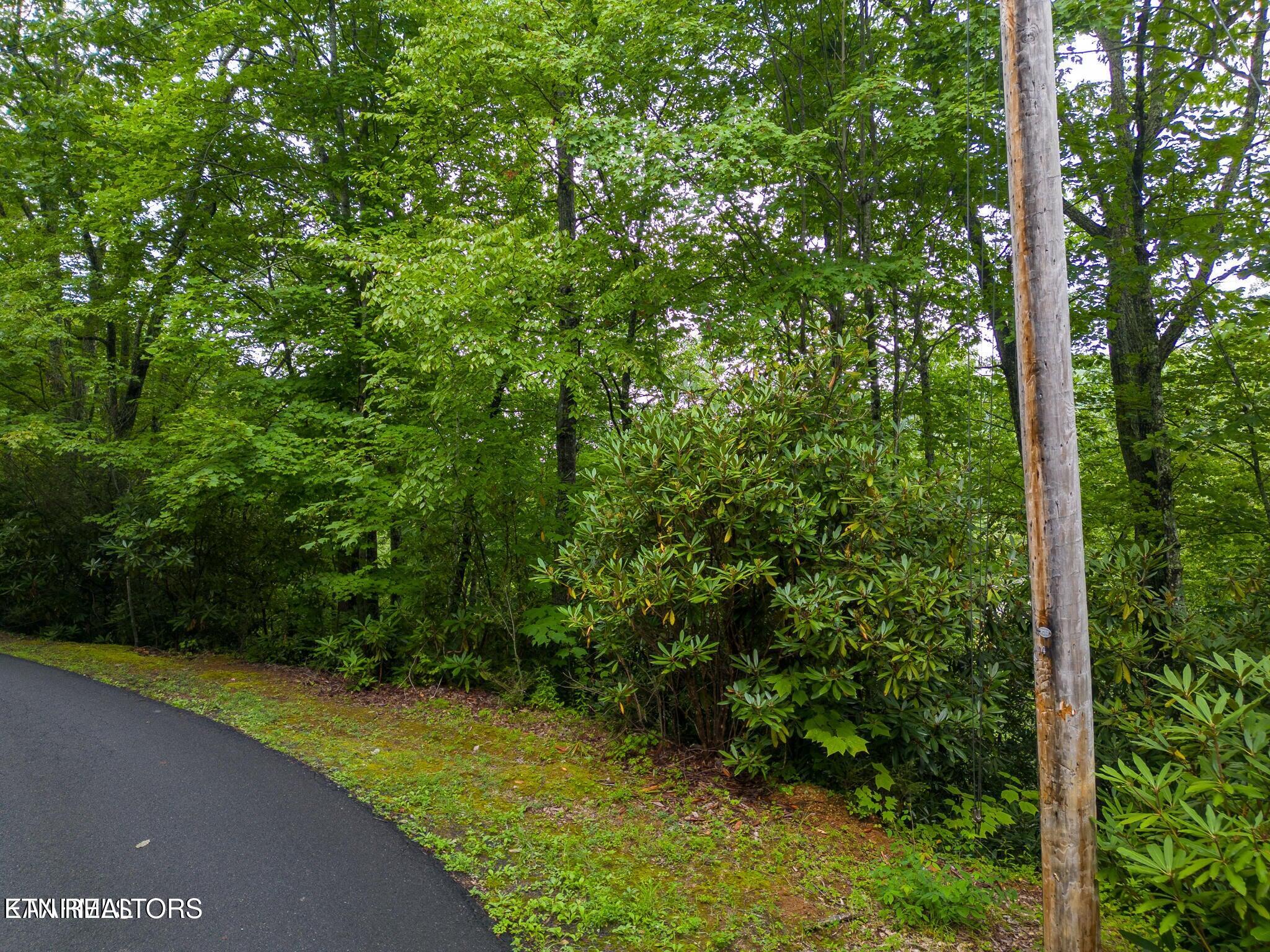 Black Gum Gap Road Gatlinburg TN 37738