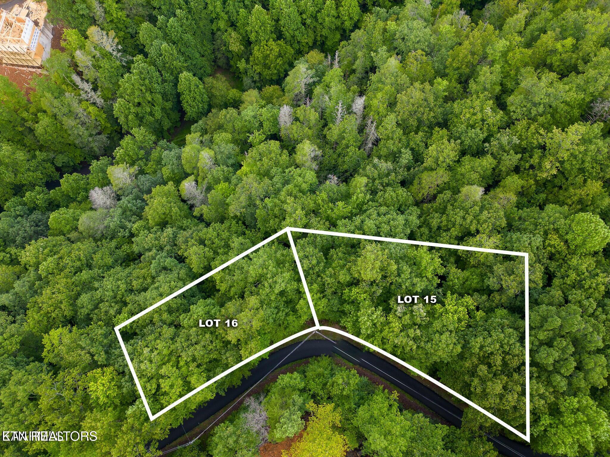 Black Gum Gap Road Gatlinburg TN 37738