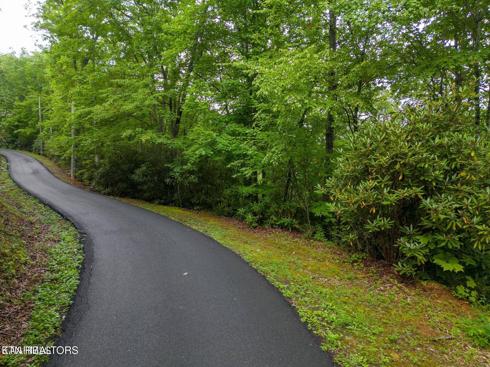 Black Gum Gap Road Gatlinburg TN 37738