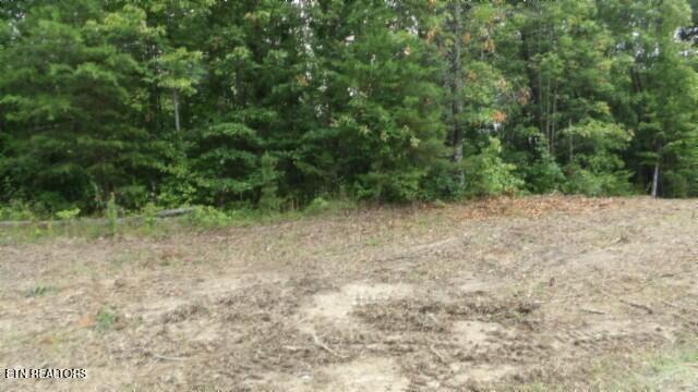 Lot 222 Hilltop Lane Wilder TN 38589