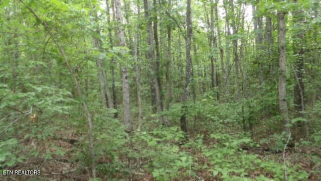 Lot 222 Hilltop Lane Wilder TN 38589