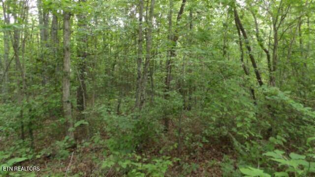 Lot 222 Hilltop Lane Wilder TN 38589