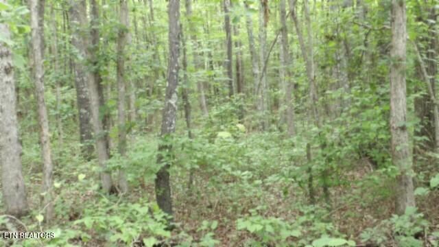 Lot 222 Hilltop Lane Wilder TN 38589
