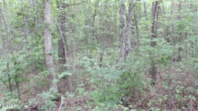 Lot 222 Hilltop Lane Wilder TN 38589