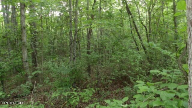 Lot 222 Hilltop Lane Wilder TN 38589