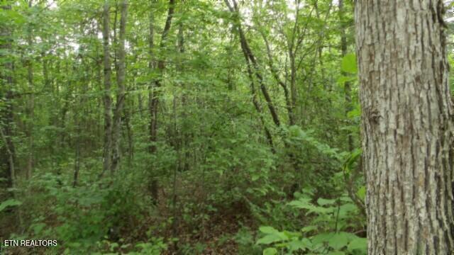 Lot 222 Hilltop Lane Wilder TN 38589