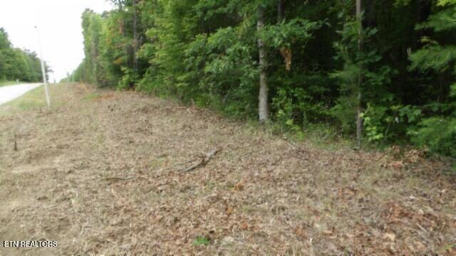 Lot 222 Hilltop Lane Wilder TN 38589