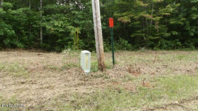 Lot 222 Hilltop Lane Wilder TN 38589