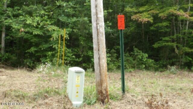 Lot 222 Hilltop Lane Wilder TN 38589