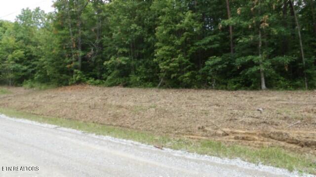 Lot 222 Hilltop Lane Wilder TN 38589