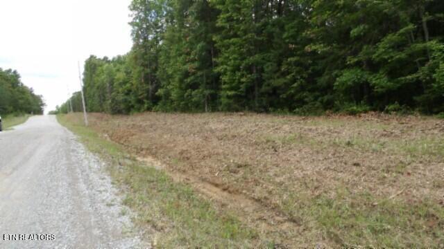 Lot 222 Hilltop Lane Wilder TN 38589