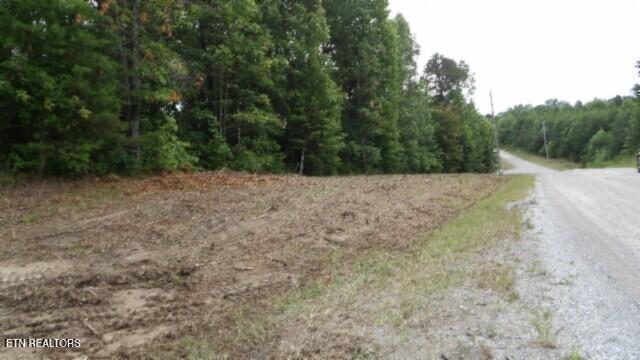 Lot 222 Hilltop Lane Wilder TN 38589