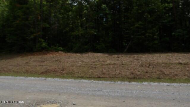 Lot 222 Hilltop Lane Wilder TN 38589