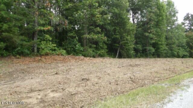 Lot 222 Hilltop Lane Wilder TN 38589