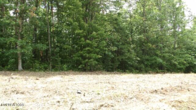 Lot 222 Hilltop Lane Wilder TN 38589