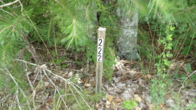 Lot 222 Hilltop Lane Wilder TN 38589