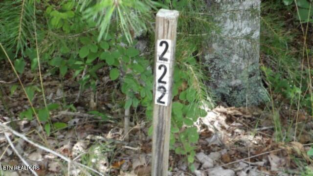 Lot 222 Hilltop Lane Wilder TN 38589