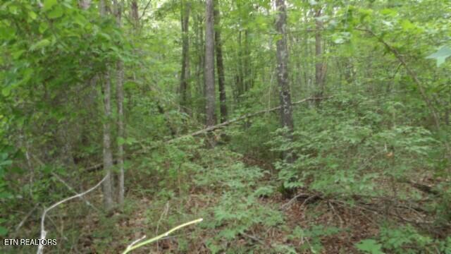 Lot 222 Hilltop Lane Wilder TN 38589