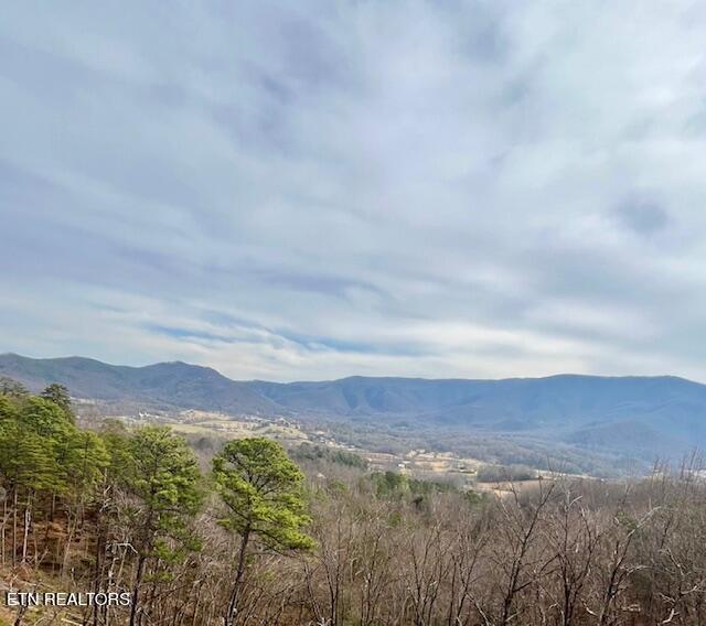 2861 Indigo Lane Sevierville TN 37862
