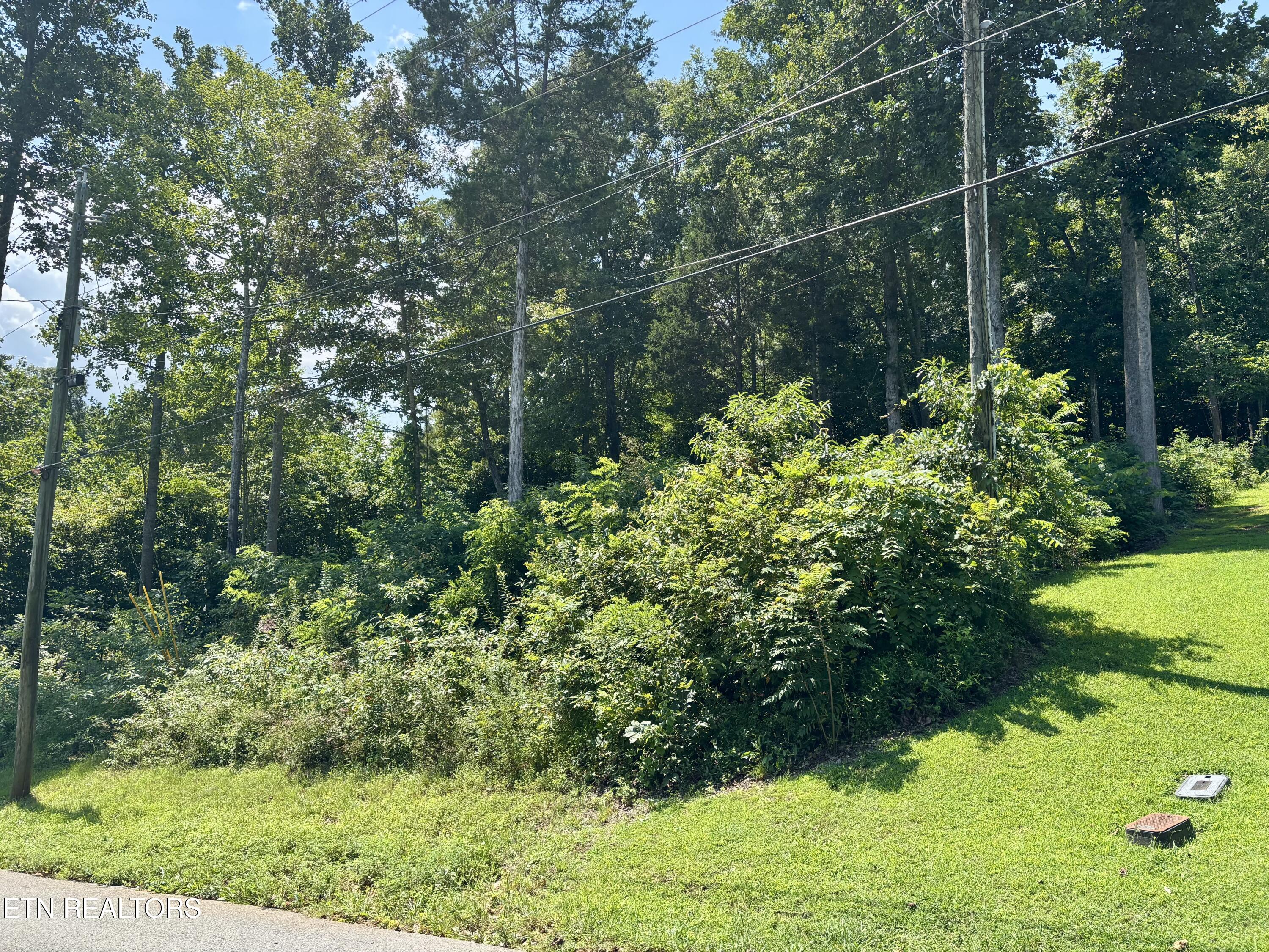 Hickory Maynardville TN 37807