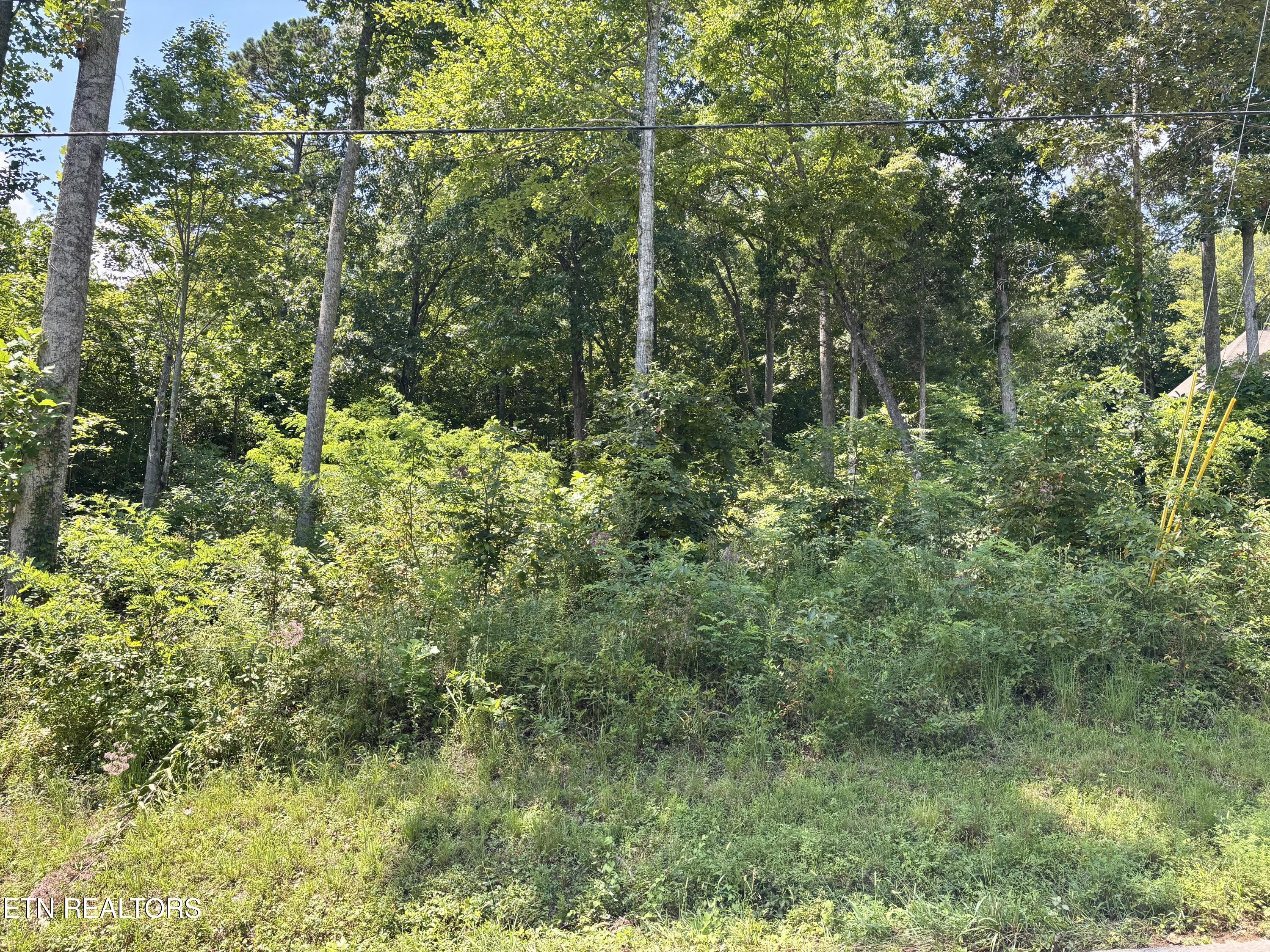 Hickory Maynardville TN 37807