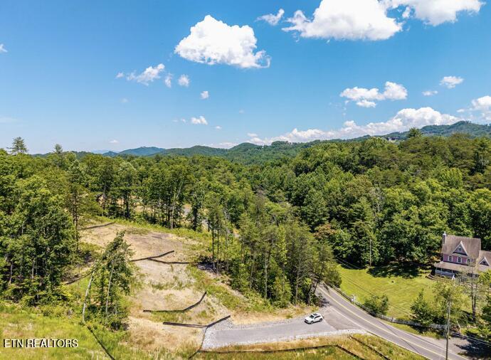 Lot 3 Waldens Creek Road Sevierville TN 37862