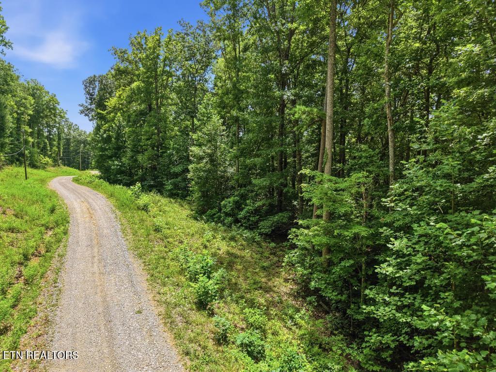 0 Tomahawk Road Jamestown TN 38556