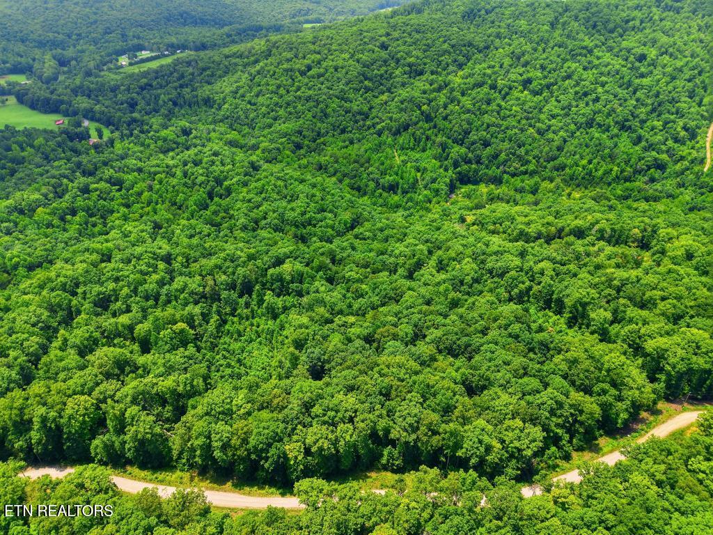0 Tomahawk Road Jamestown TN 38556