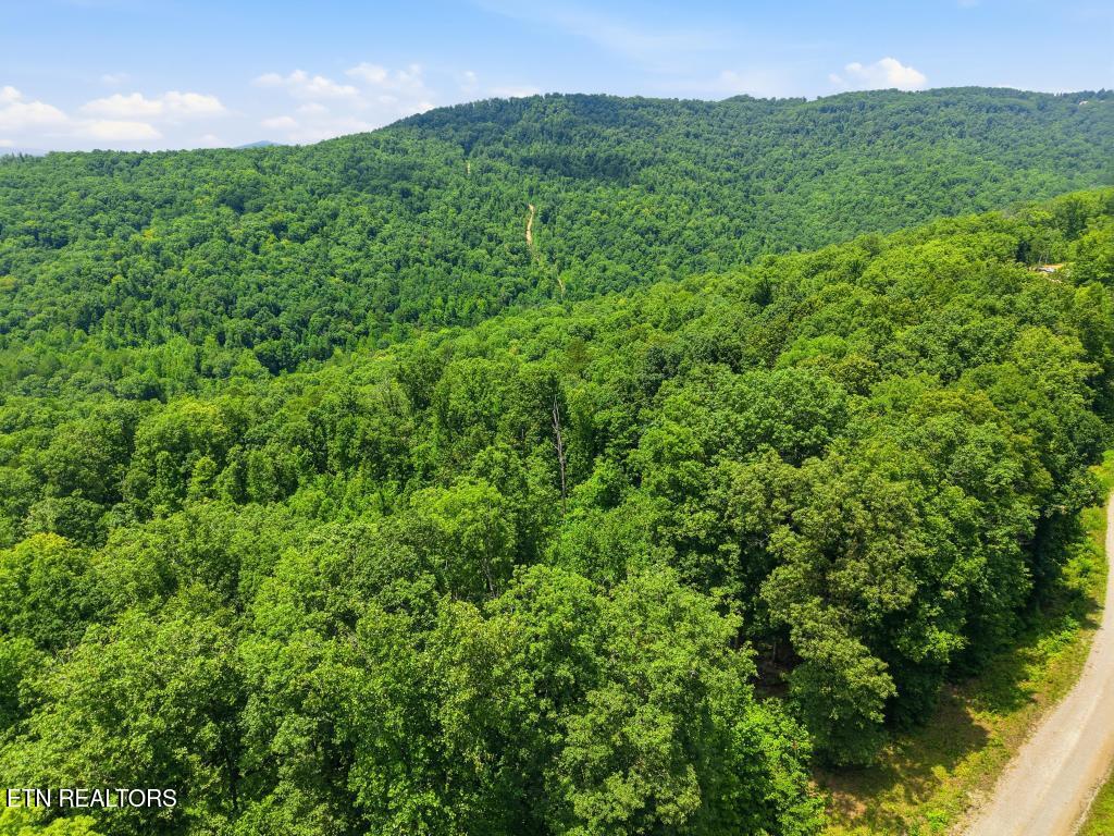 0 Tomahawk Road Jamestown TN 38556