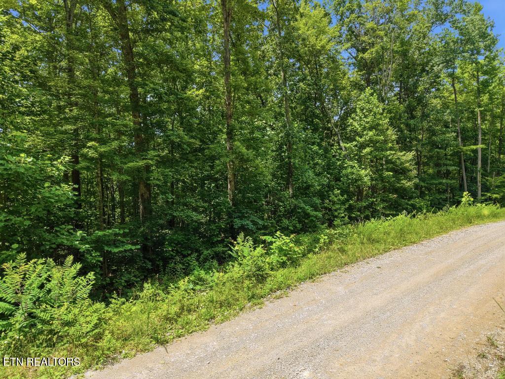 0 Tomahawk Road Jamestown TN 38556