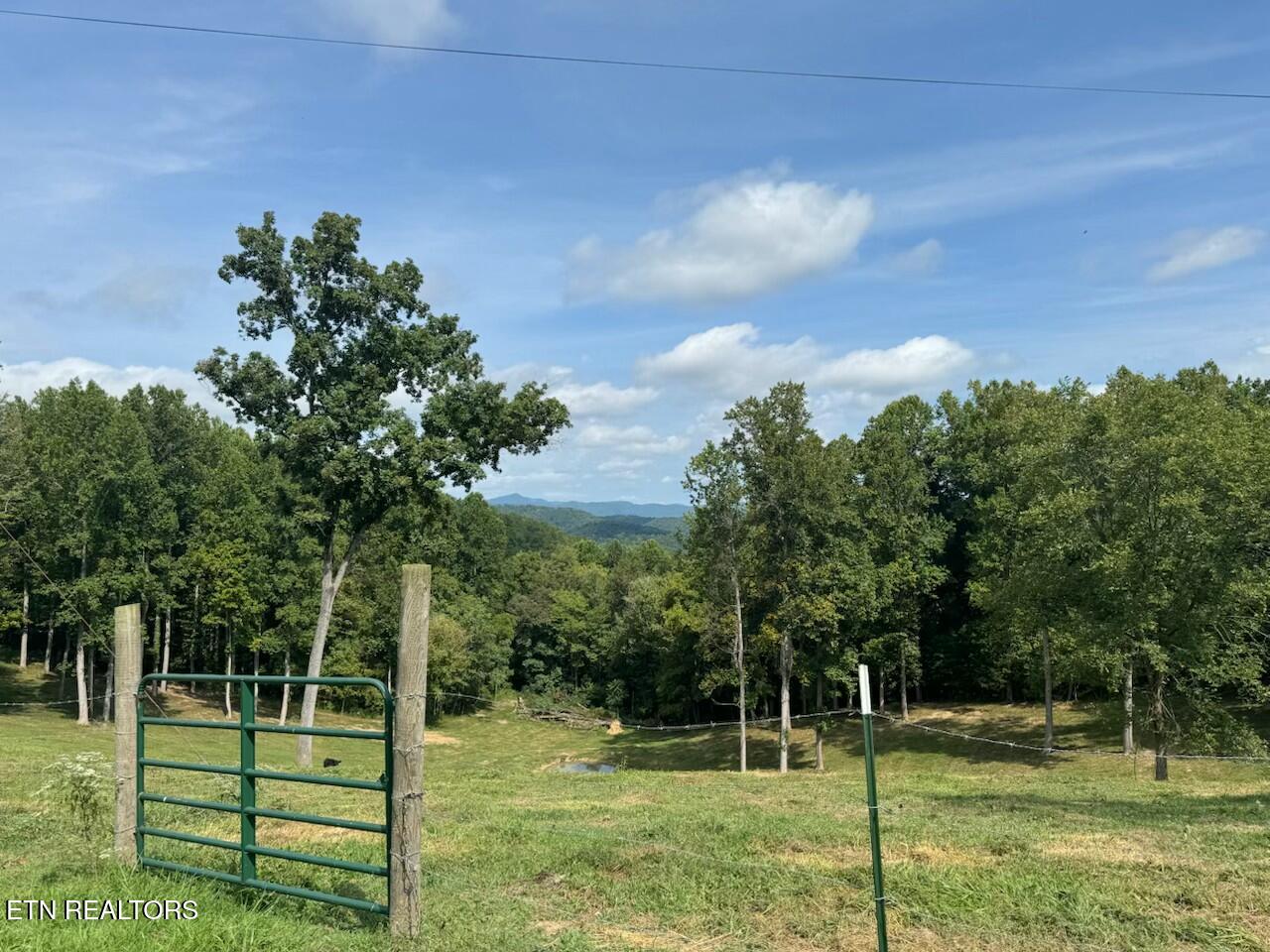 Locust Grove Road New Tazewell TN 37825