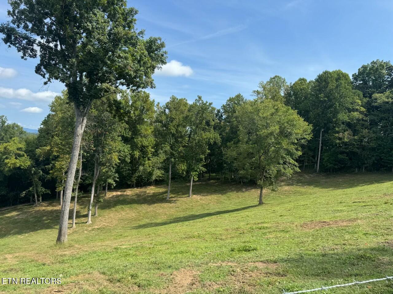 Locust Grove Road New Tazewell TN 37825
