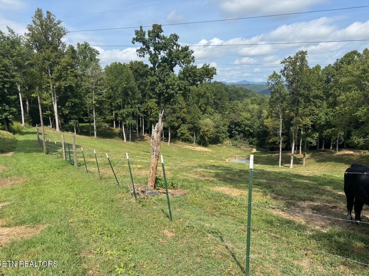Locust Grove Road New Tazewell TN 37825