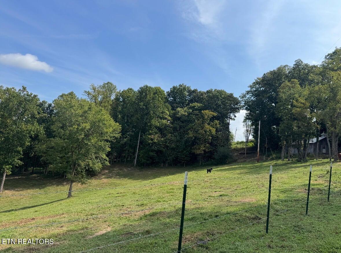 Locust Grove Road New Tazewell TN 37825