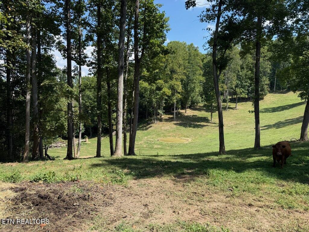 Locust Grove Road New Tazewell TN 37825