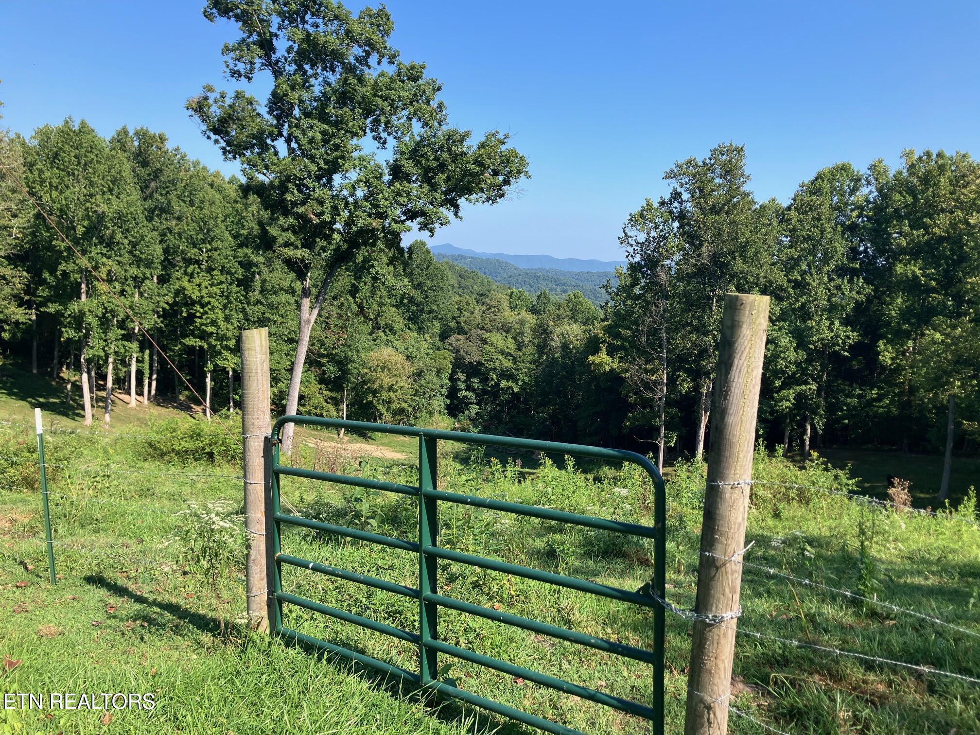 Locust Grove Road New Tazewell TN 37825