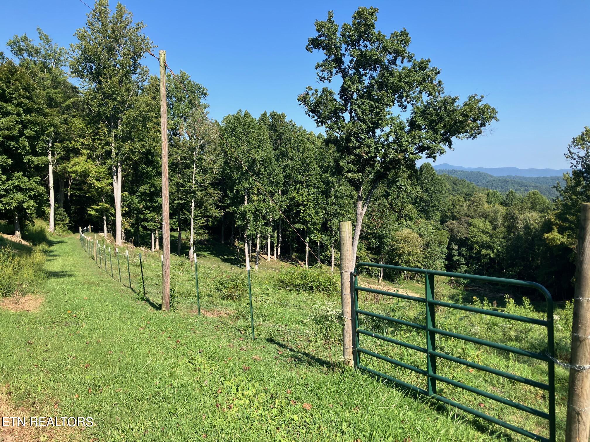 Locust Grove Road New Tazewell TN 37825