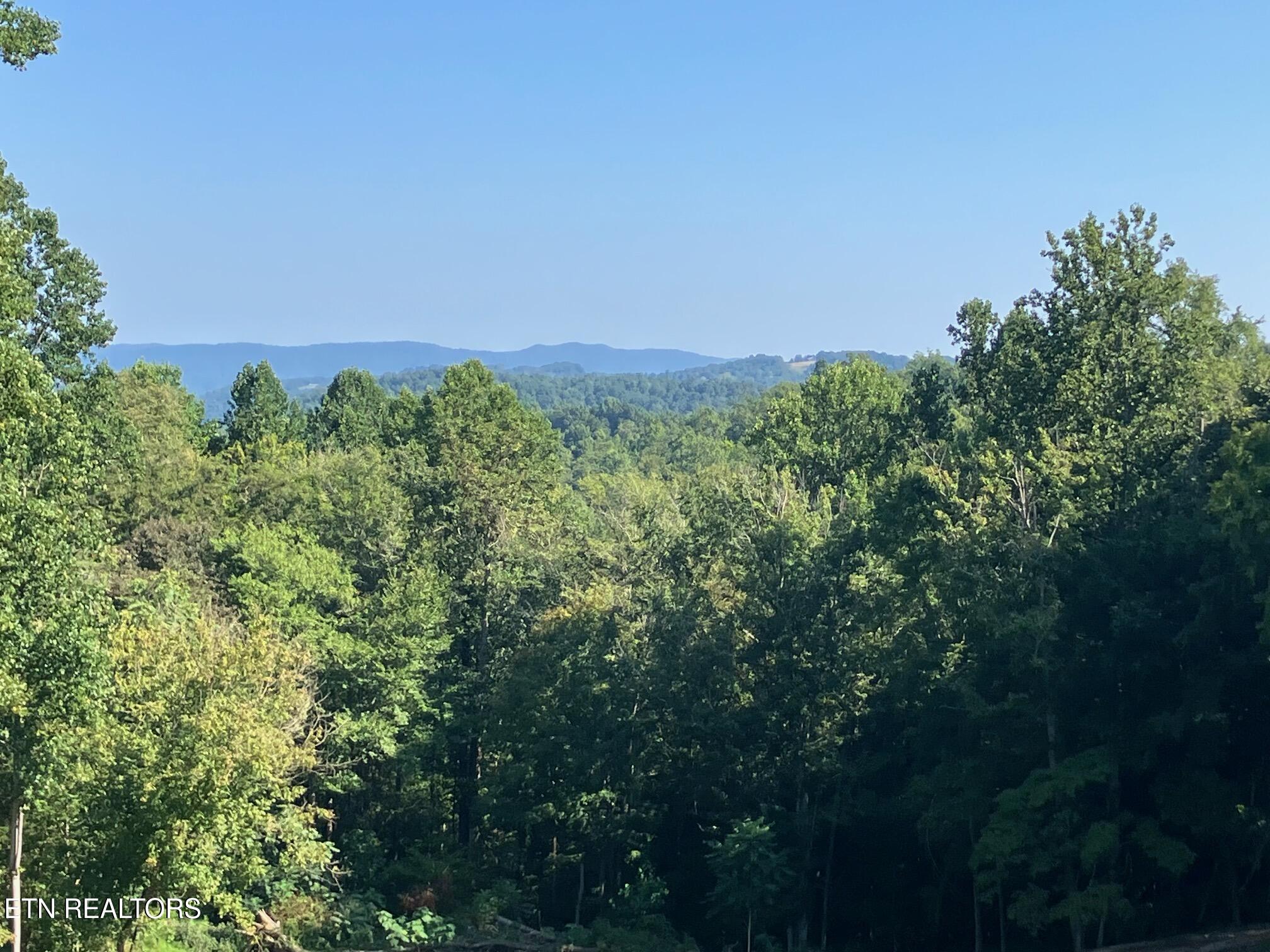 Locust Grove Road New Tazewell TN 37825