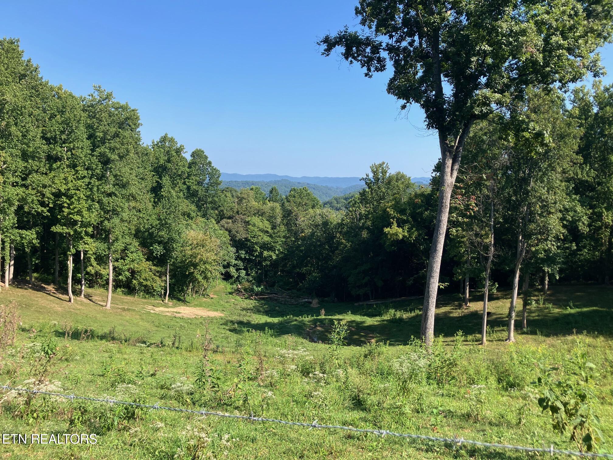 Locust Grove Road New Tazewell TN 37825